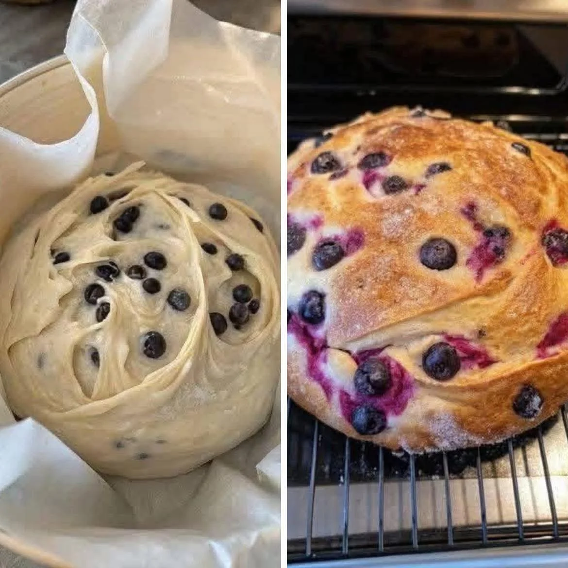 Delicious Blueberry Cream Cheese Loaf garnished with fresh blueberries.