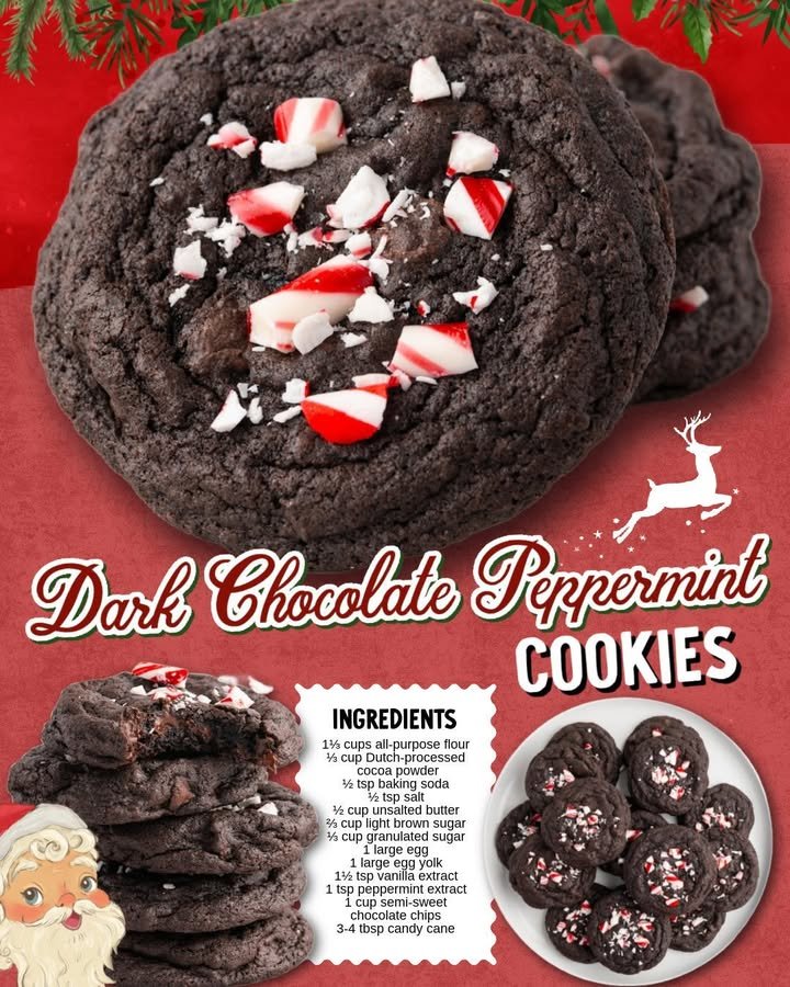 Chocolate Peppermint Cookies