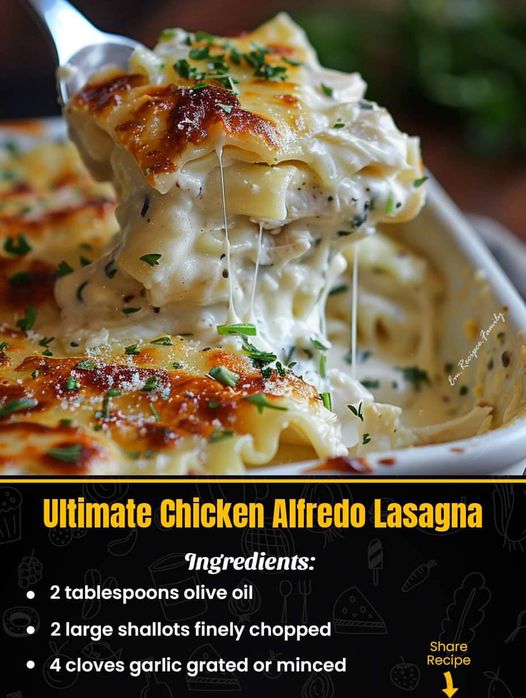 Ultimate Chicken Alfredo Lasagna