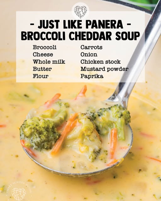 Broccoli Cheddar Soup