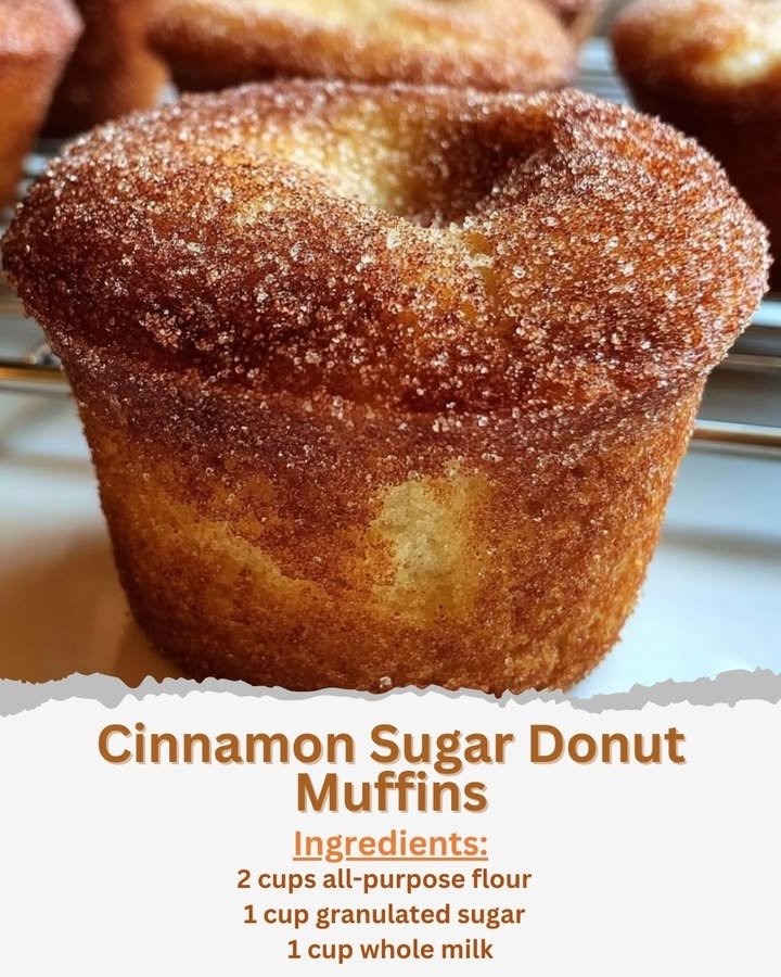 Cinnamon Sugar Donut Muffins