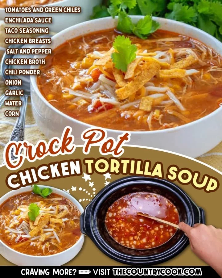 Bowl of Crock Pot Chicken Tortilla Soup with toppings