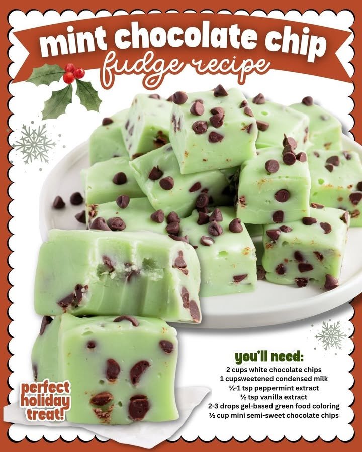 Mint Chocolate Chip Fudge
