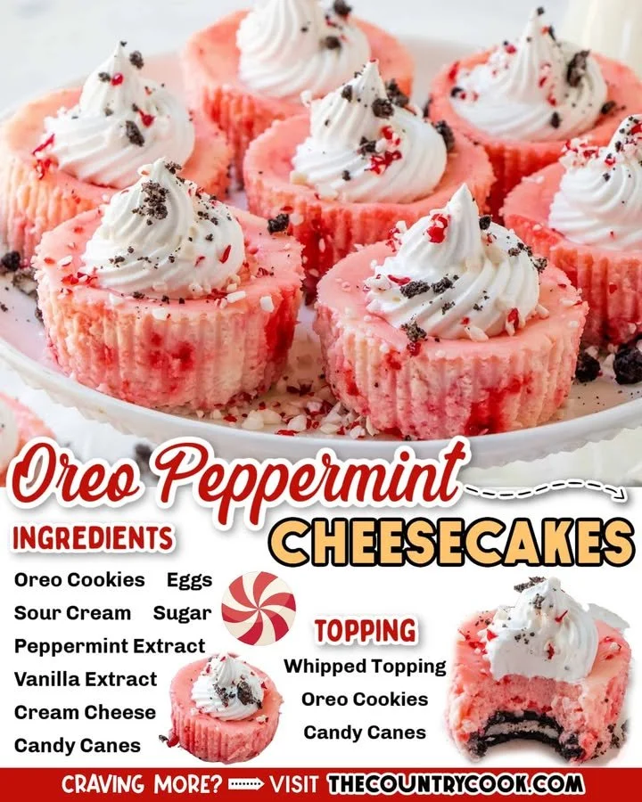 Oreo peppermint mini cheesecakes topped with crushed cookies and peppermint